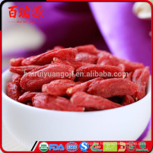 Sales promotion goji berry price Sulfur Free goji berry dried Natural Green Food